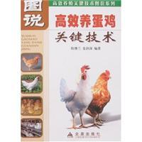 Seller image for map key technology layers that support efficient(Chinese Edition) for sale by liu xing