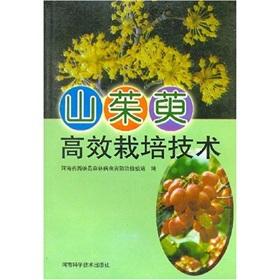 Seller image for dogwood Cultivation Techniques(Chinese Edition) for sale by liu xing
