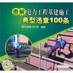 Immagine del venditore per Graphic illegal power engineering infrastructure construction typical 100(Chinese Edition) venduto da liu xing