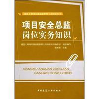 Imagen del vendedor de practical knowledge of project safety director position(Chinese Edition) a la venta por liu xing