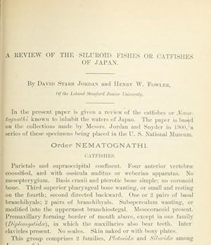 Imagen del vendedor de A Review Of The Siluroid Fishes Or Catfishes Of Japan a la venta por Legacy Books II