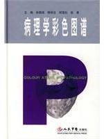 Seller image for Color Atlas of Pathology(Chinese Edition) for sale by liu xing