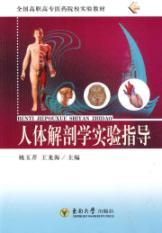 Immagine del venditore per Higher medical institutions nationwide experiment textbook: Human Anatomy experimental guide(Chinese Edition) venduto da liu xing