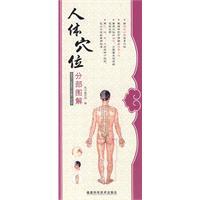 Bild des Verkufers fr Division of Human Acupuncture Points Diagram(Chinese Edition) zum Verkauf von liu xing