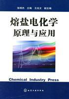 Seller image for Salt Electrochemistry Principles and Applications(Chinese Edition) for sale by liu xing