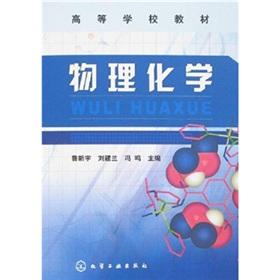 Immagine del venditore per Physical Chemistry(Chinese Edition) venduto da liu xing