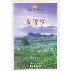 Bild des Verkufers fr night dive Dream [paperback](Chinese Edition) zum Verkauf von liu xing