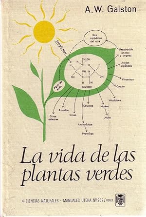 La Vida De Las Plantas Verdes