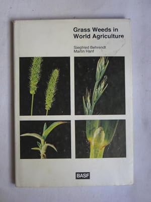 Grass Weeds in World Agriculture : Identification in the flowerless state