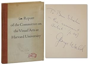 Report of the Committee on the Visual Arts at Harvard University