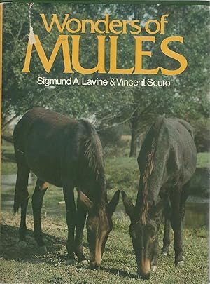 Wonders of Mules