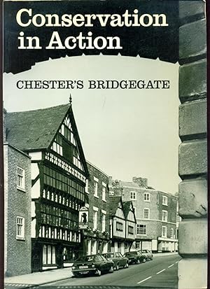 Seller image for Conservation in Action : Chester's Bridgegate for sale by CHARLES BOSSOM