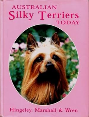 Australian Silky Terriers Today