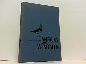 Bild des Verkufers fr Avifauna von Westfalen. Hrsg. als Heft 3, 31. Jahrgang 1969. In Zusammenarbeit mit den Mitgliedern der Arbeitsgemeinschaft westflischer Ornithologen. zum Verkauf von Antiquariat Ehbrecht - Preis inkl. MwSt.