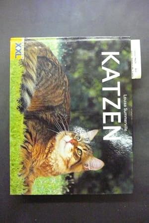 Katzen