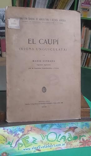 El Caupí (vigna unguiculata)