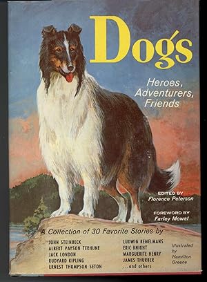 Seller image for DOGS Heroes, Adventurers, Friends for sale by Windy Hill Books