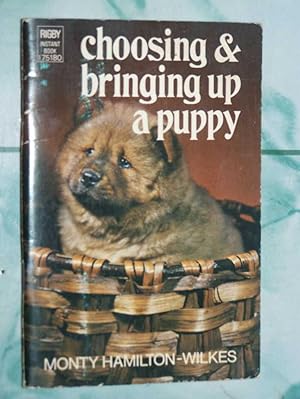 Choosing & Bringing Up A Puppy