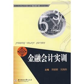 Immagine del venditore per financial accounting training(Chinese Edition) venduto da liu xing