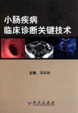 Imagen del vendedor de key technologies diagnosis of small bowel diseases(Chinese Edition) a la venta por liu xing