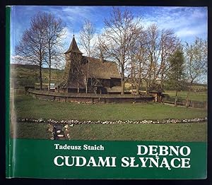 Seller image for Debno cudami slynace for sale by POLIART Beata Kalke
