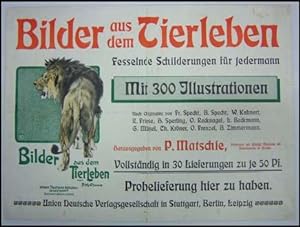 Bilder aus dem Tierleben. Verlagswerbung der Union Deutsche Verlagsgesellschaft. Farbig lithograp...