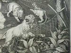 La chasse aux lions par le feu