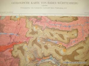 Geologische Karte von Baden-Württemberg (7415 Seebach)