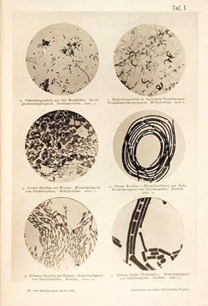 Einführung in das Studium der Bakteriologie mit besonderer Berücksichtigung der mikroskopischen T...