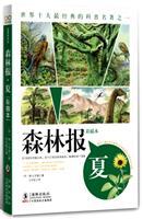 Immagine del venditore per forest report. summer(Chinese Edition) venduto da liu xing