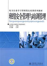 Immagine del venditore per team security management and training management(Chinese Edition) venduto da liu xing