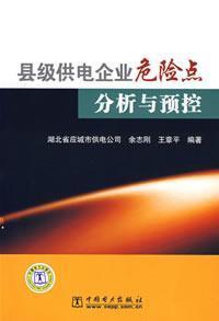 Seller image for county-level power analysis and pre-business risk point of China Electric Power Press Control(Chinese Edition) for sale by liu xing