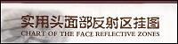 Immagine del venditore per wall chart practical head and face reflexology(Chinese Edition) venduto da liu xing