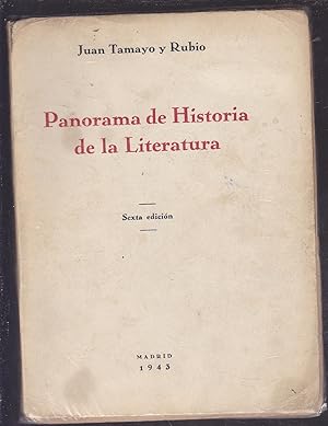 Imagen del vendedor de PANORAMA DE HISTORIA DE LA LITERATURA a la venta por CALLE 59  Libros