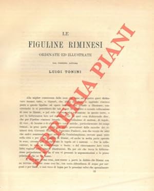 Bild des Verkufers fr Le figuline riminesi ordinate e illustrate. zum Verkauf von Libreria Piani
