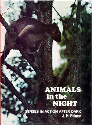 Seller image for Animals in the Night for sale by Adelaide Booksellers