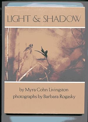 LIGHT & SHADOW