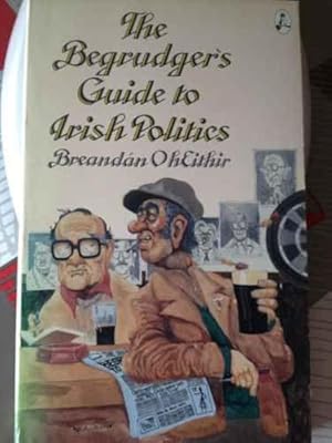 The Begrudger's Guide to Irish Politics