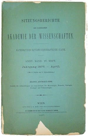 Beobachtungen über Gestaltung und feineren Bau der als Hoden beschiebenen Lappenorganen des Aals.