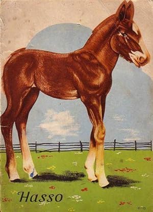 Immagine del venditore per Hasso. venduto da Antiquariat Carl Wegner