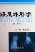 Imagen del vendedor de ankle foot surgery (Second Edition)(Chinese Edition) a la venta por liu xing