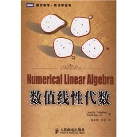 Seller image for numerical linear algebra(Chinese Edition) for sale by liu xing