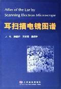 Imagen del vendedor de Atlas of the ear by scanning electron microscope(Chinese Edition) a la venta por liu xing