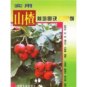 Seller image for utility Hawthorn 200 cases of culture Figure tactics(Chinese Edition) for sale by liu xing