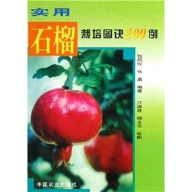 Immagine del venditore per practical tips pomegranate cultivation figure of 200 cases(Chinese Edition) venduto da liu xing