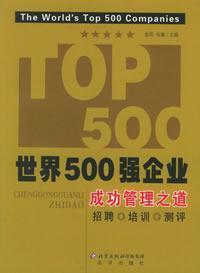 Imagen del vendedor de Fortune 500 companies: the successful management of the Road(Chinese Edition) a la venta por liu xing