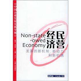 Imagen del vendedor de private economy: the development of new mechanisms. new impetus and new opportunities(Chinese Edition) a la venta por liu xing