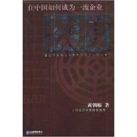 Seller image for depth(Chinese Edition) for sale by liu xing