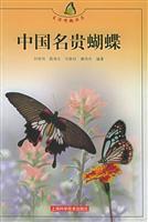 Immagine del venditore per Chinese rare butterfly venduto da liu xing