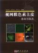 Immagine del venditore per retinal pigment epithelium basic and clinical(Chinese Edition) venduto da liu xing